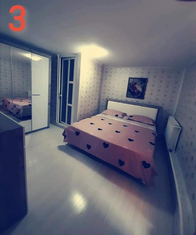 Pensiunea Pelican Tulcea Extérieur photo