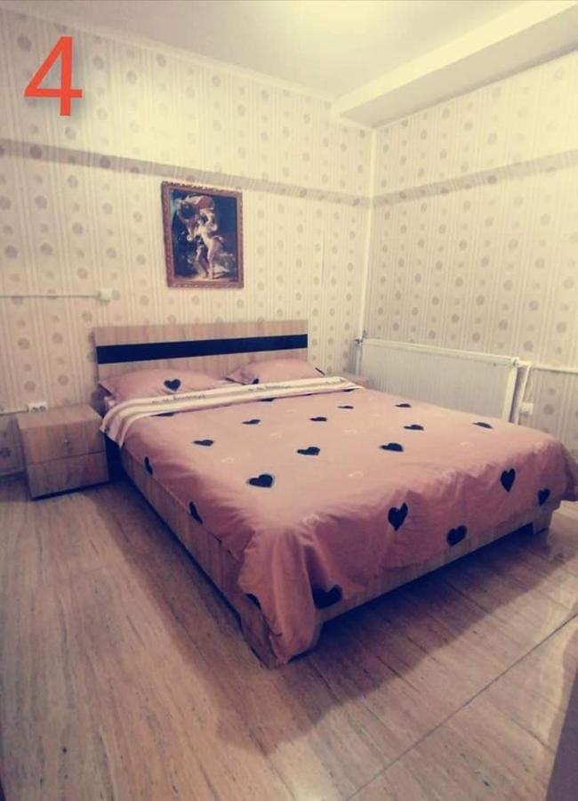 Pensiunea Pelican Tulcea Extérieur photo